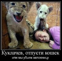 Мама учит непутевых львят перепрыгивать через ручей