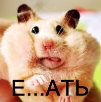 Вьетнамски деликатес  