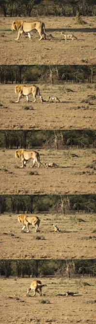 Из жизни троллей)))