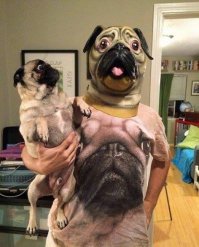 Просто замечательные фотографии