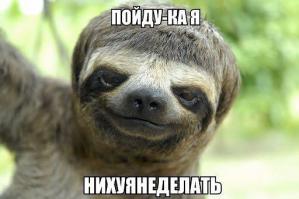 Картинки со смешными подписями