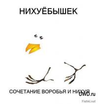 Шедевральные объявления