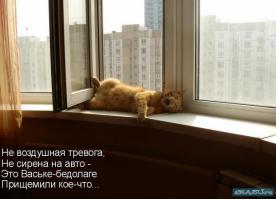 Картинки со смешными подписями