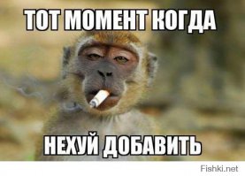 Неприятный утренний сюрприз