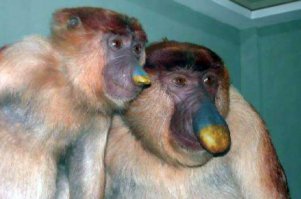 Даже незнаю как реагировать, новость так  новость