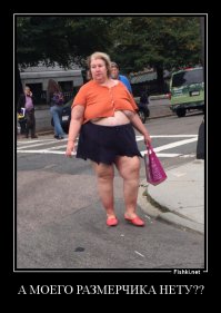 Потолок не выдержал 2000 украденных предметов нижнего белья