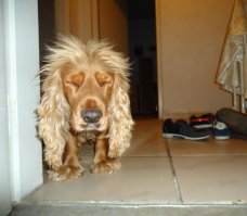 Животные тоже бывают нефотогеничны 