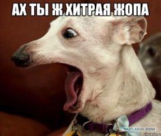 Самый странный матч в истории футбола сыграли Барбадос и Гренада  