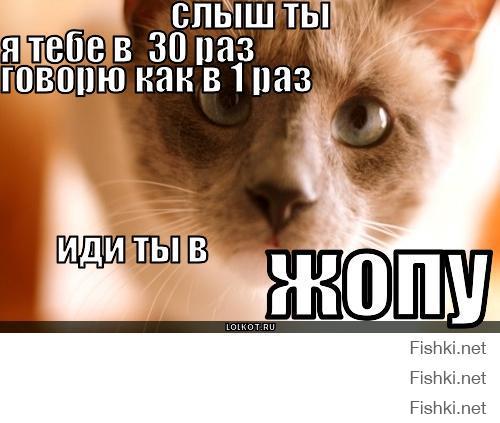 Автор, для тебя есть важная новость: