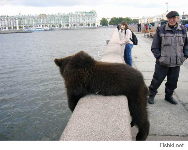 Не твой ли часом???