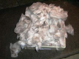 А у меня  вот  только это - кошкина  шёрстка. Чешу с персика колорпойнта и складываю. Вот,  коробка полная а  ручки-крючки на  тему  чтобы  дельное  что  свалять...