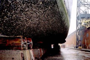 ;)ассоциации-параллели, желание отодрать ненужное )))