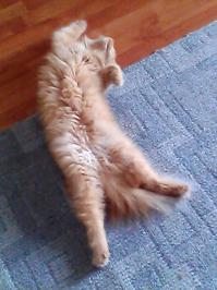 Фотоподборка за 20.10.2014