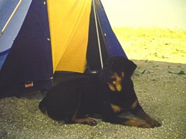 Джина (Вайга-Кулин) 1990-2003.