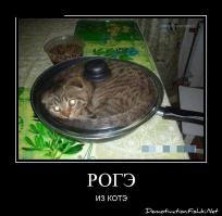 16 котов, которые не ожидали, что вы вернетесь домой так рано