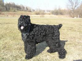 вот точно такой же.... был!!!