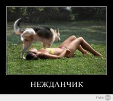 Позитивные демотиваторы