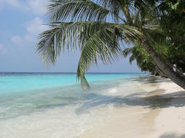 примите мои фотки