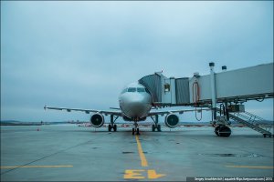 Змея и яйцо