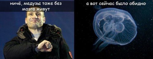 Украинских журналистов хотят наказать...