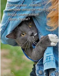 Милые создания