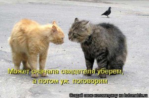 Без кота и жизнь не та!