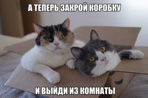 Застукали в расплох