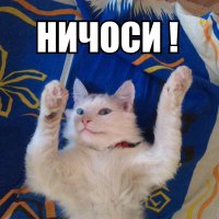 Список мужчин Екатерины II