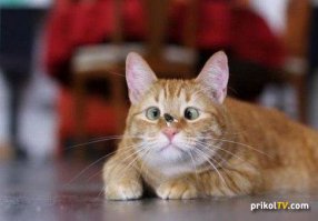 25 вещей, на которые вы уже не сможете смотреть по-прежнему