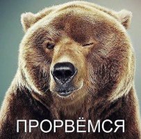 Немного стереотипных мишек