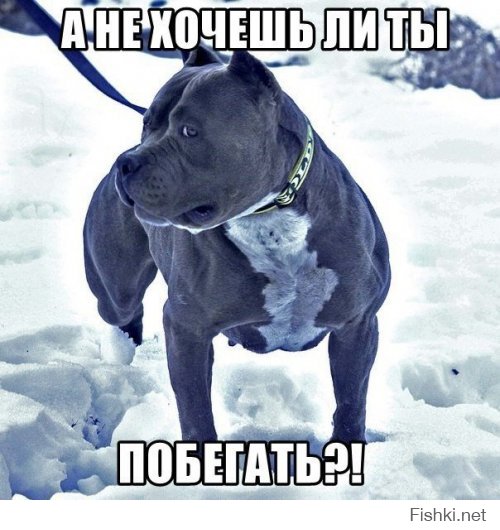 Из солянки от 22.12.2014