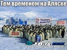 Интересные факты об Аляске