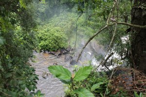 В Камбоджи очень красиво всем рекомендую туда хоть раз съездить. Ехать желательно не в сезон дождей )