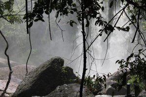 В Камбоджи очень красиво всем рекомендую туда хоть раз съездить. Ехать желательно не в сезон дождей )