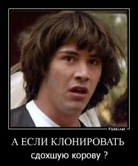 Когда полетят свиньи и отелится сдохшая корова