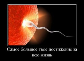 Как стать популярным?