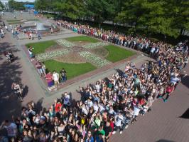 пздц. походу это первая шаурма