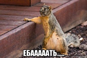 Завсегда восхищаюсь такими людьми!