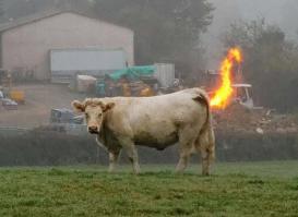 Фотографии сделанные в нужный момент