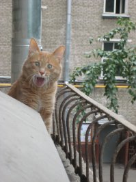 Просто замечательные фотографии