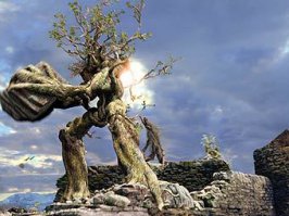 Я тебе щас повыращиваю мебель