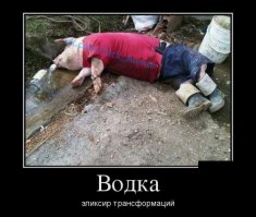 Боец АТО на побывке дома..