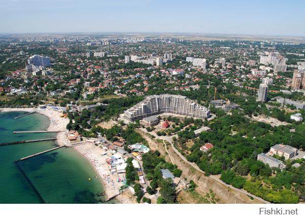 С высоты птичьего полета
