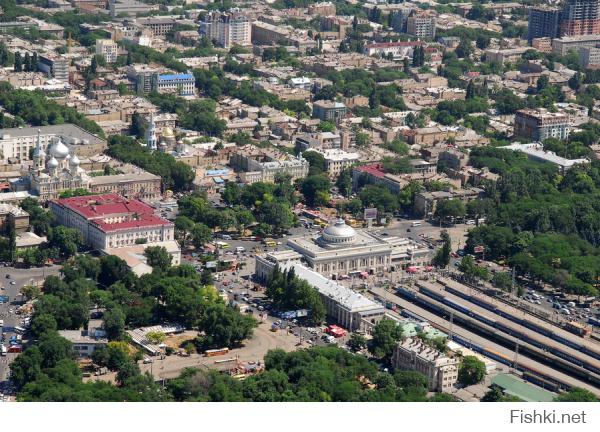 С высоты птичьего полета