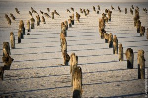 что все забыли про Баскунчак? там просто красота!