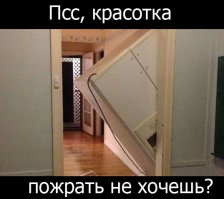 Неожиданно из-за дерева показалась чья-то морда