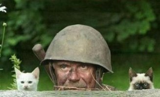 Сбитый попугай застрял за радиаторной решеткой