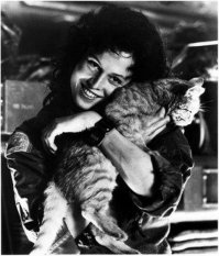 На съёмочных площадках популярных фильмов