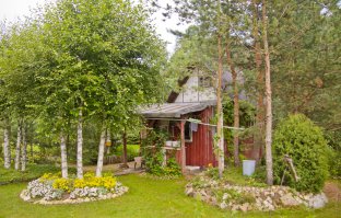 маленькая хибарка на самом отшибе - в углу садоводства. С двух сторон глухой лес