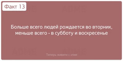 я субботний - редкий вид :)